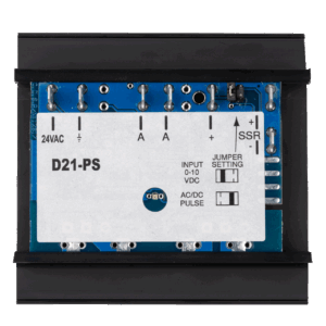 D21-PS